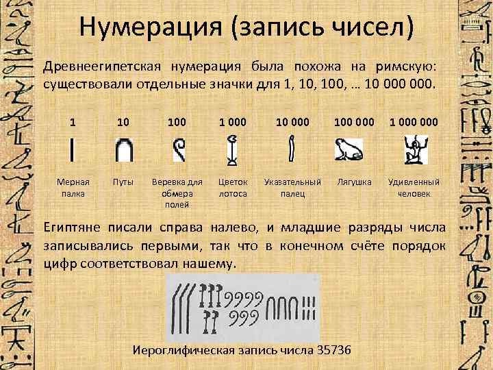 Перевод с египетского на русский по фото онлайн