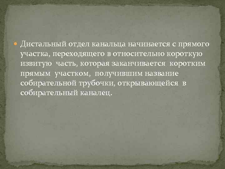  Дистальный отдел канальца начинается с прямого участка, переходящего в относительно короткую извитую часть,