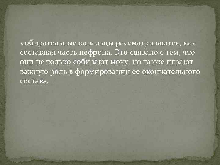собирательные канальцы рассматриваются, как составная часть нефрона. Это связано с тем, что они не