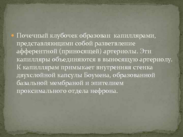  Почечный клубочек образован капиллярами, представляющими собой разветвление афферентной (приносящей) артериолы. Эти капилляры объединяются