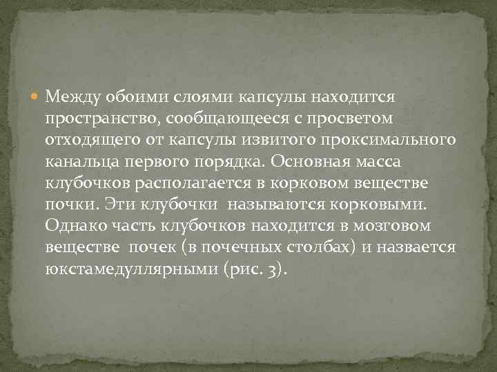  Между обоими слоями капсулы находится пространство, сообщающееся с просветом отходящего от капсулы извитого