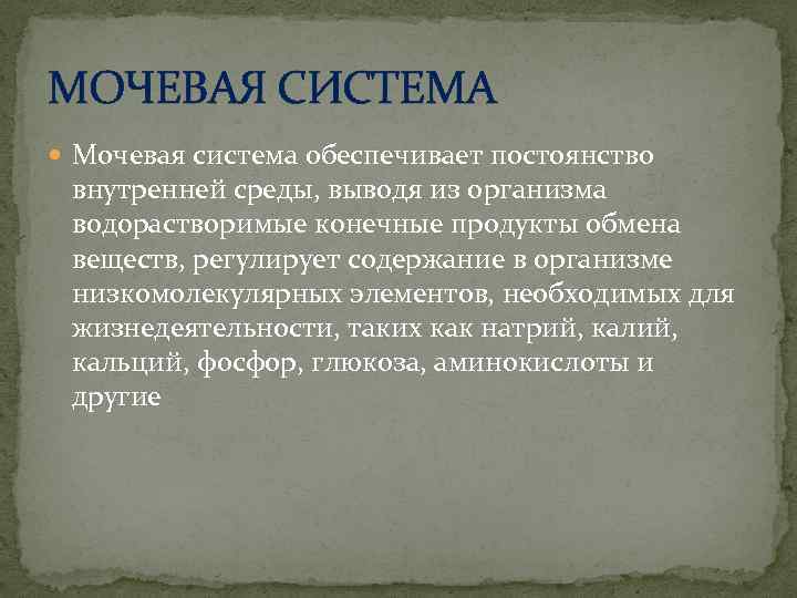 МОЧЕВАЯ СИСТЕМА Мочевая система обеспечивает постоянство внутренней среды, выводя из организма водорастворимые конечные продукты