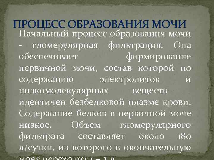 ПРОЦЕСС ОБРАЗОВАНИЯ МОЧИ Начальный процесс образования мочи - гломерулярная фильтрация. Она обеспечивает формирование первичной