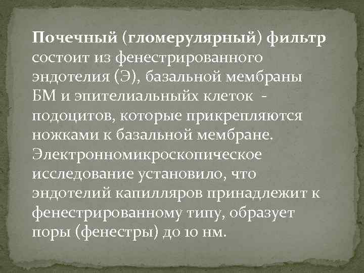 Почечный (гломерулярный) фильтр состоит из фенестрированного эндотелия (Э), базальной мембраны БМ и эпителиальныйх клеток