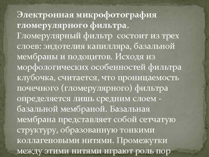 Электронная микрофотография гломерулярного фильтра. Гломерулярный фильтр состоит из трех слоев: эндотелия капилляра, базальной мембраны