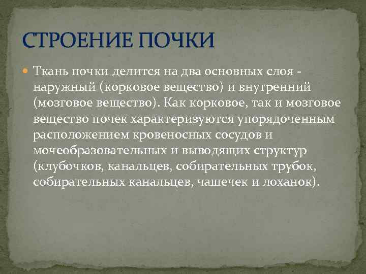СТРОЕНИЕ ПОЧКИ Ткань почки делится на два основных слоя - наружный (корковое вещество) и