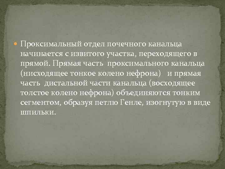  Проксимальный отдел почечного канальца начинается с извитого участка, переходящего в прямой. Прямая часть