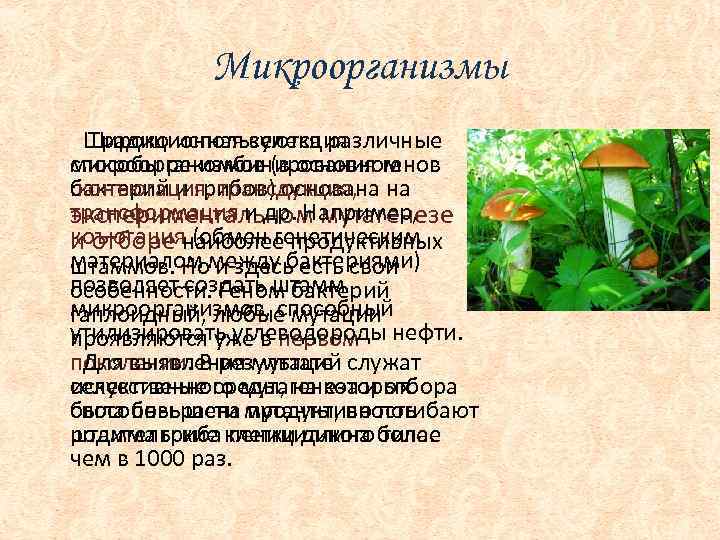 Микроорганизмы Широко используются различные Традиционная селекция способы рекомбинирования генов микроорганизмов (в основном : конъюгация,