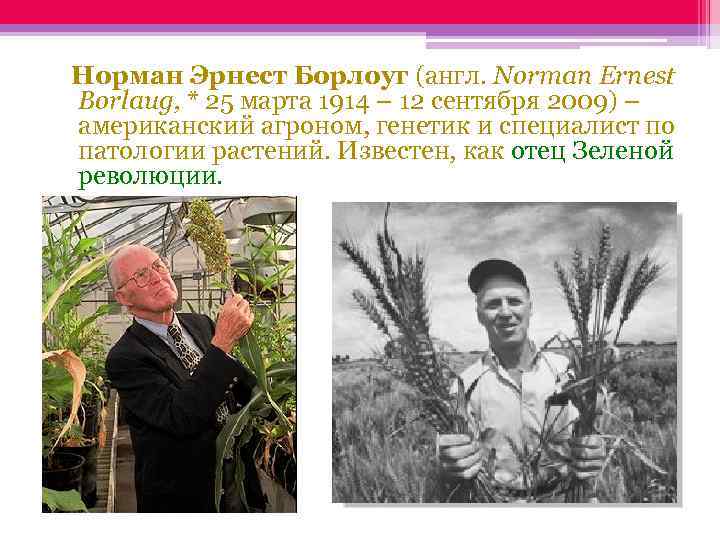 Норман Эрнест Борлоуг (англ. Norman Ernest Borlaug, * 25 марта 1914 – 12 сентября