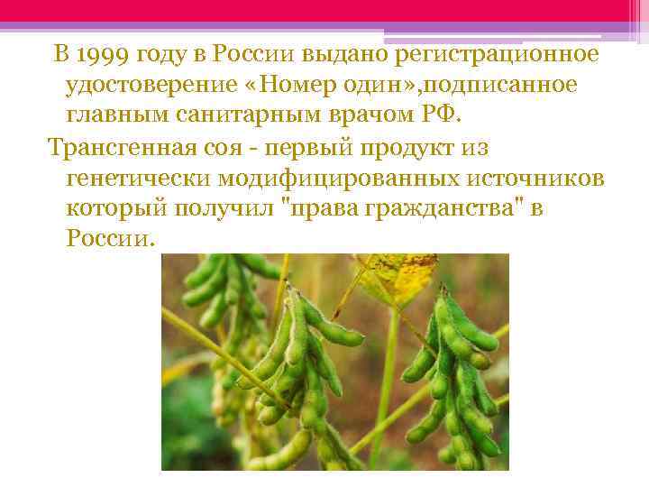  В 1999 году в России выдано регистрационное удостоверение «Номер один» , подписанное главным