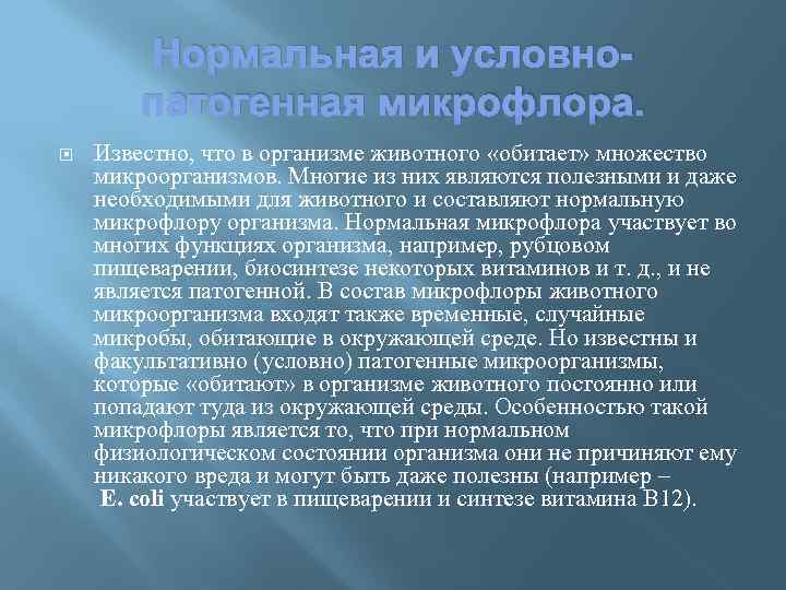 Нормальная и условнопатогенная микрофлора. Известно, что в организме животного «обитает» множество микроорганизмов. Многие из