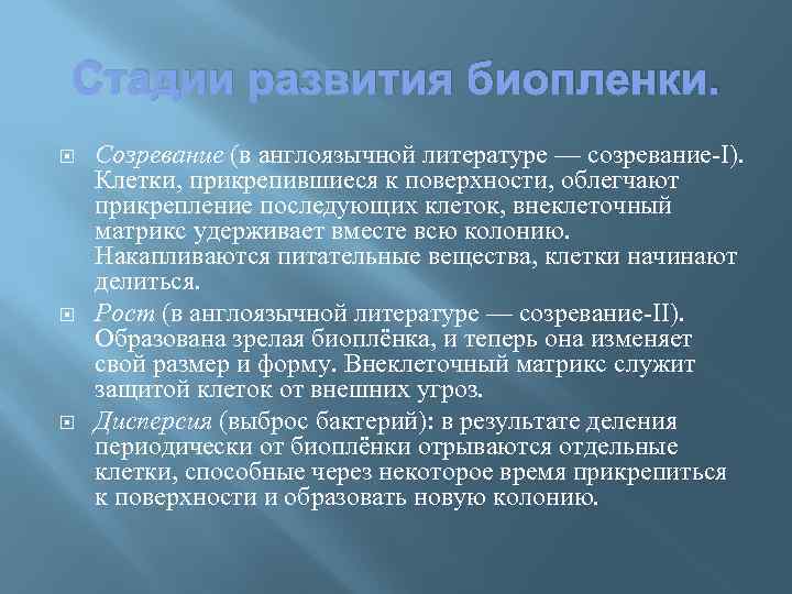 Стадии развития биопленки. Созревание (в англоязычной литературе — созревание-I). Клетки, прикрепившиеся к поверхности, облегчают