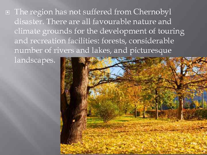  The region has not suffered from Chernobyl disaster. There all favourable nature and