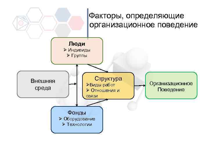 Поведения человека схема