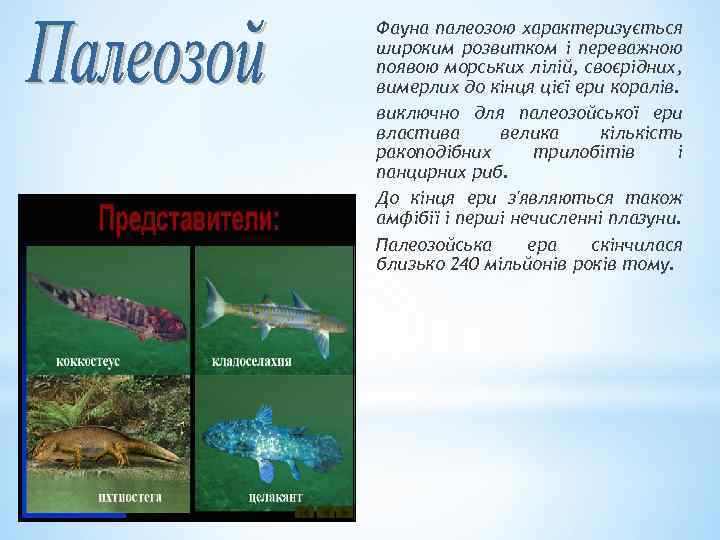 Фауна палеозою характеризується широким розвитком і переважною появою морських лілій, своєрідних, вимерлих до кінця
