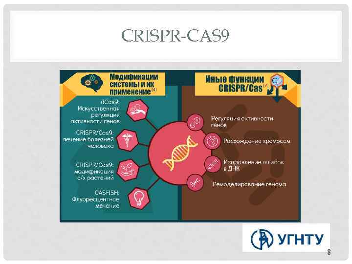 CRISPR-CAS 9 8 