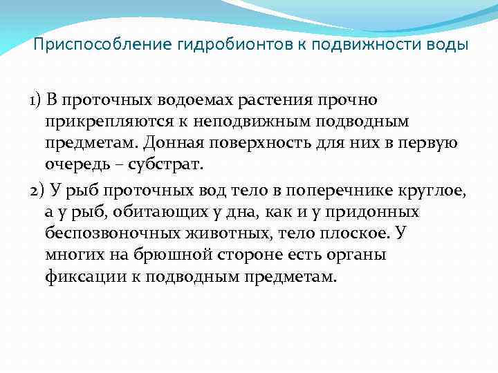  Приспособление гидробионтов к подвижности воды 1) В проточных водоемах растения прочно прикрепляются к