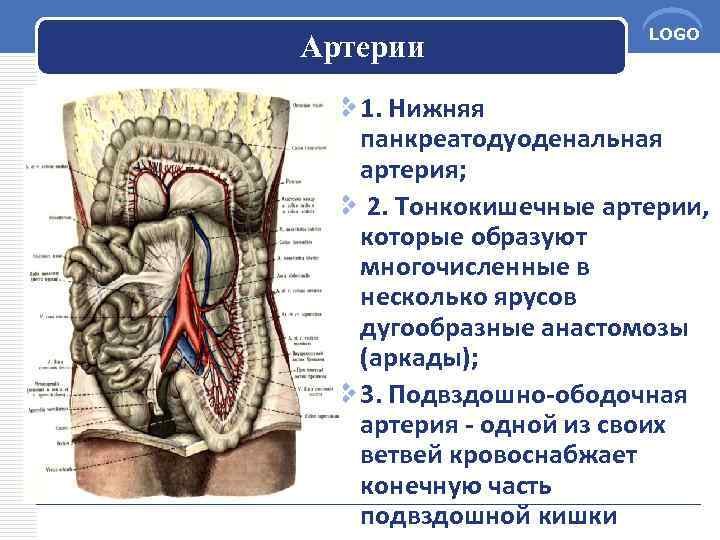 Клиническая картина острой кишечной непроходимости