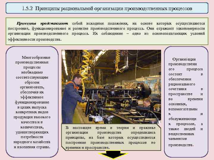 1. 5. 2 Принципы рациональной организации производственных процессов Принципы представляют собой исходные положения, на