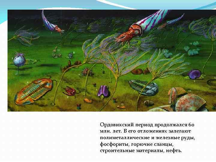 Ордовикский период продолжался 60 млн. лет. В его отложениях залегают полиметаллические и железные руды,