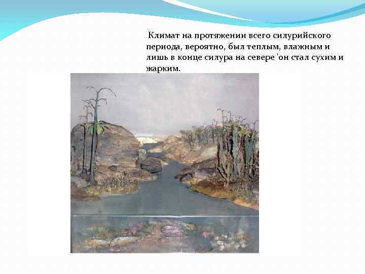  Климат на протяжении всего силурийского периода, вероятно, был теплым, влажным и лишь в