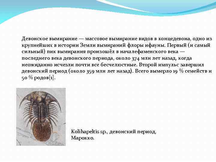 Девонское вымирание — массовое вымирание видов в концедевона, одно из крупнейших в истории Земли