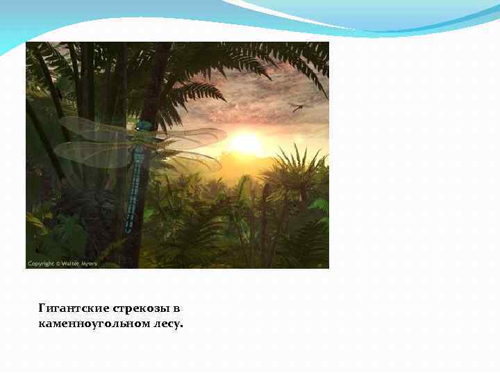 Гигантские стрекозы в каменноугольном лесу. 