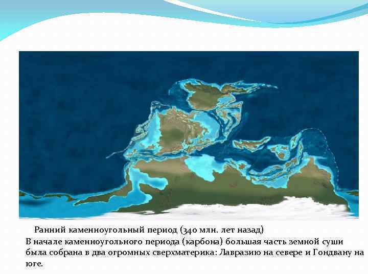 Ранний каменноугольный период (340 млн. лет назад) В начале каменноугольного периода (карбона) большая часть