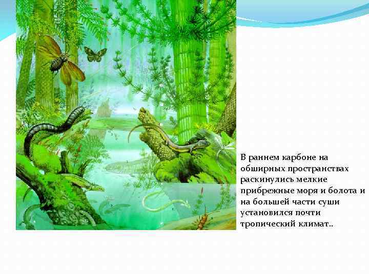 В раннем карбоне на обширных пространствах раскинулись мелкие прибрежные моря и болота и на
