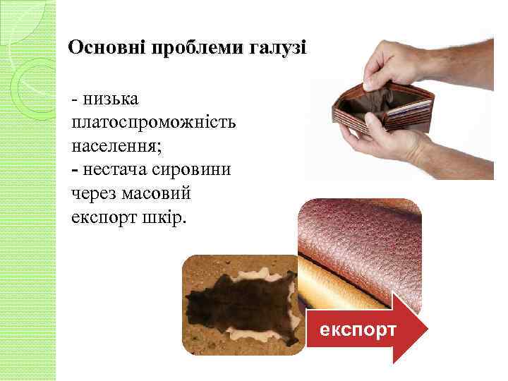 Основні проблеми галузі: - низька платоспроможність населення; - нестача сировини через масовий експорт шкір.