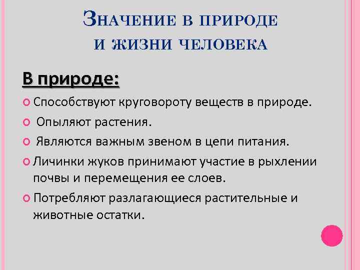 ЗНАЧЕНИЕ В ПРИРОДЕ И ЖИЗНИ ЧЕЛОВЕКА В природе: Способствуют круговороту веществ в природе. Опыляют