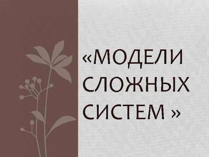  «МОДЕЛИ СЛОЖНЫХ СИСТЕМ » 