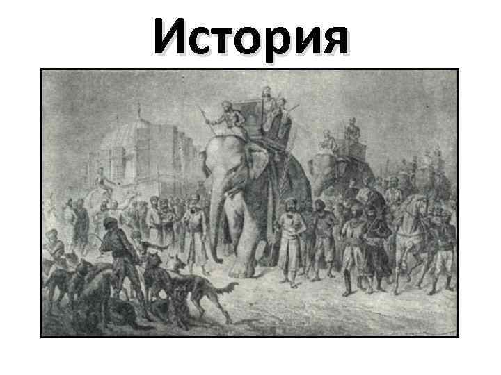 История 