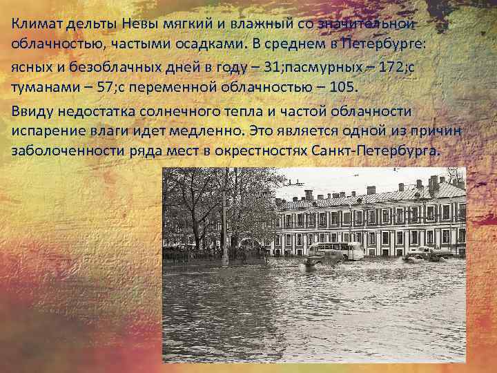 Курс истории спб. Причины основания Санкт-Петербурга. Дельта Невы. Схема дельты Невы.