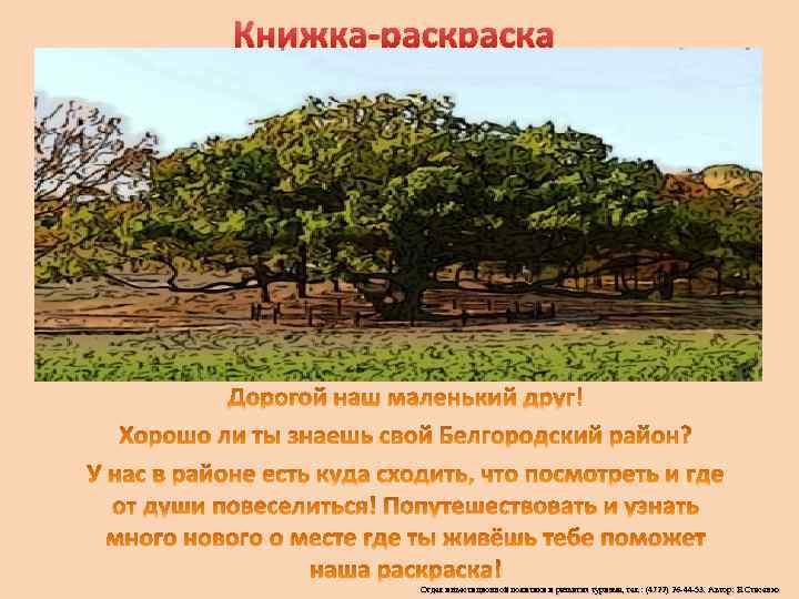 Книжка-раска Отдел инвестиционной политики и развития туризма, тел. : (4722) 26 -44 -53. Автор: