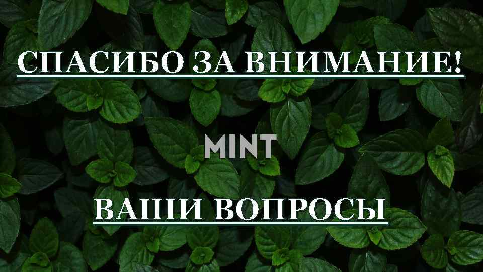 СПАСИБО ЗА ВНИМАНИЕ! : ВАШИ ВОПРОСЫ : 