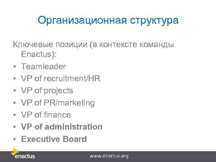 Организационная структура Ключевые позиции (в контексте команды Enactus): • Teamleader • VP of recruitment/HR