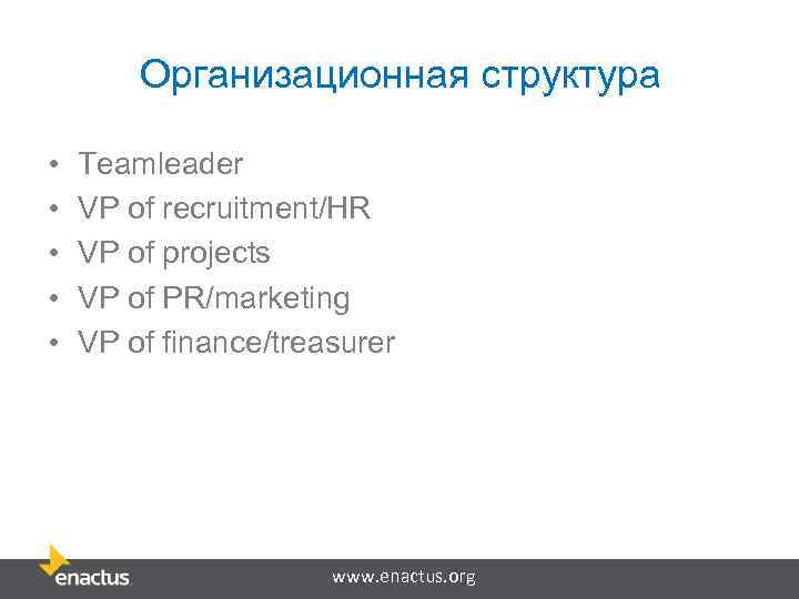 Организационная структура • • • Teamleader VP of recruitment/HR VP of projects VP of