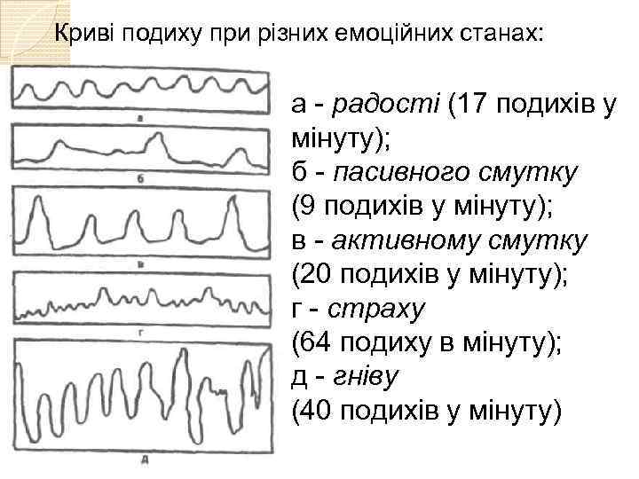Криві подиху при різних емоційних станах: а - радості (17 подихів у мінуту); б