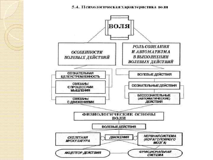 Свойства волевого процесса