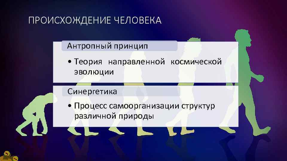 Суть человека отзывы. Антропный принцип теория. Антропный принцип Эволюция. Антропный принцип в синергетике. Процесс самоорганизации Вселенной.