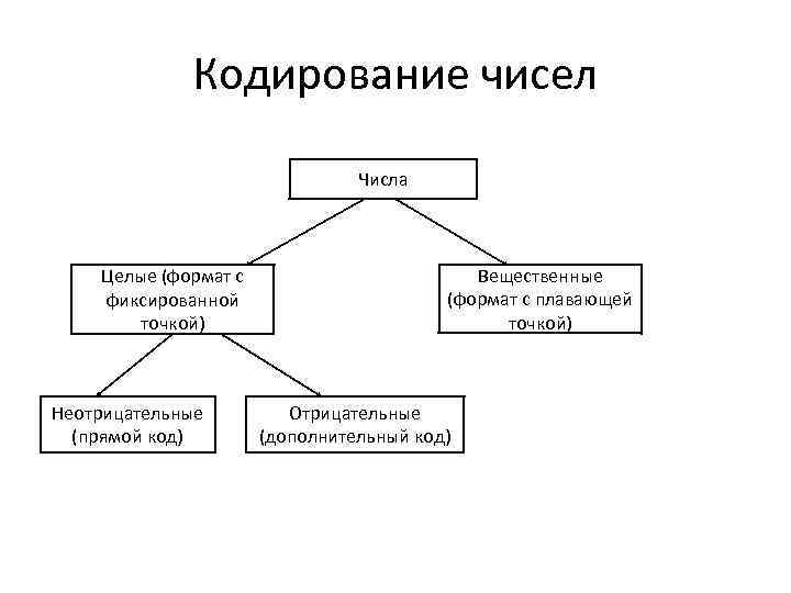 Кодирование чисел Числа Целые (формат с фиксированной точкой) Неотрицательные (прямой код) Вещественные (формат с