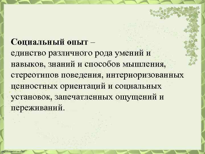 Социальный опыт – единство различного рода умений и навыков, знаний и способов мышления, стереотипов