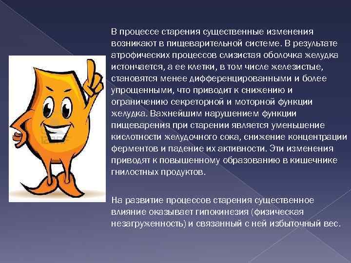 В процессе старения существенные изменения возникают в пищеварительной системе. В результате атрофических процессов слизистая