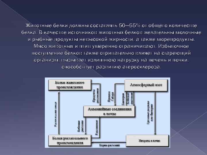 Животные белки должны составлять 50— 55% от общего количестве белка. В качестве источников животных