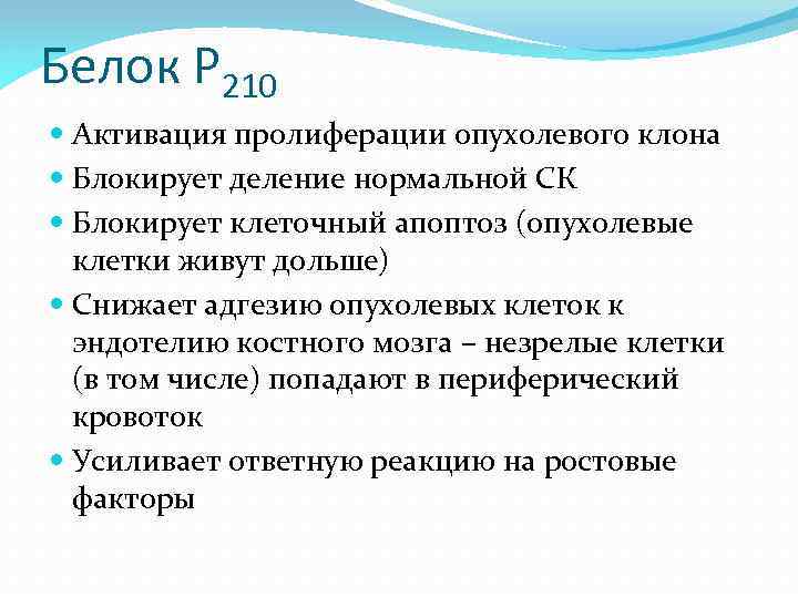 Белок Р 210 Активация пролиферации опухолевого клона Блокирует деление нормальной СК Блокирует клеточный апоптоз