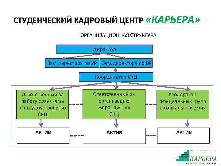 СТУДЕНЧЕСКИЙ КАДРОВЫЙ ЦЕНТР «КАРЬЕРА» ОРГАНИЗАЦИОННАЯ СТРУКТУРА Директор Зам. директора по УР Зам. директора по