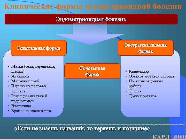 Клинические формы эндометриоидной болезни Эндометриоидная болезнь Экстрагенитальная форма Генитальная форма • Матки (тела, перешейка,