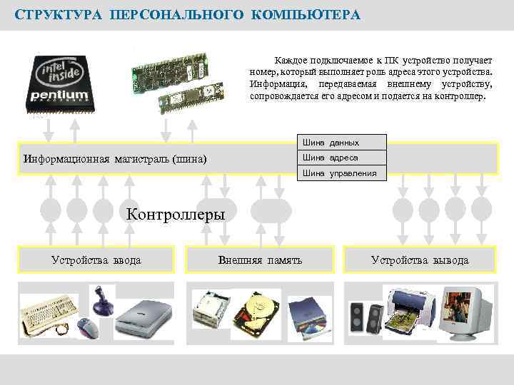 Адрес персонального компьютера. Информационная магистраль шина. Контроллеры устройств компьютера. Контроллер на базе персонального компьютера. Устройство шины компьютера.