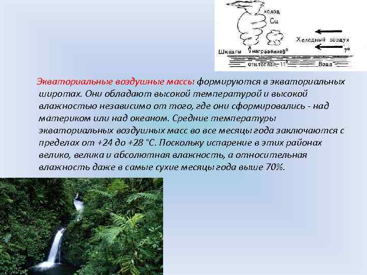  Экваториальные воздушные массы формируются в экваториальных широтах. Они обладают высокой температурой и высокой